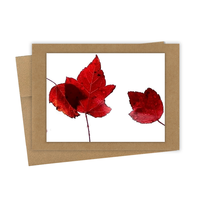 "Three Red Leaves" Handmade 5x7 Greeting Card