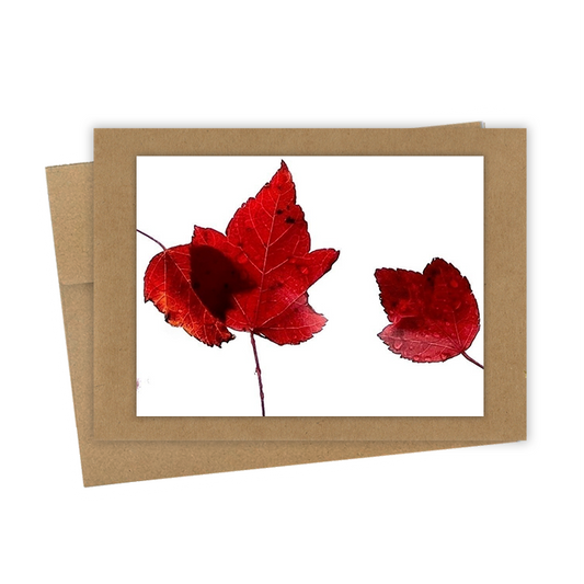 "Three Red Leaves" Handmade 5x7 Greeting Card