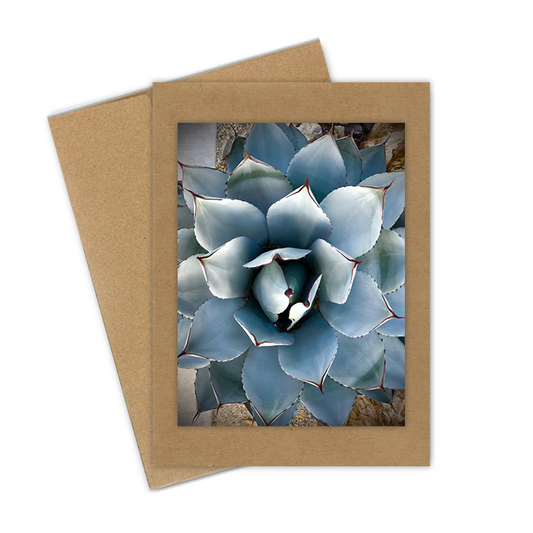 "Agave" Handmade 5x7 Greeting Card