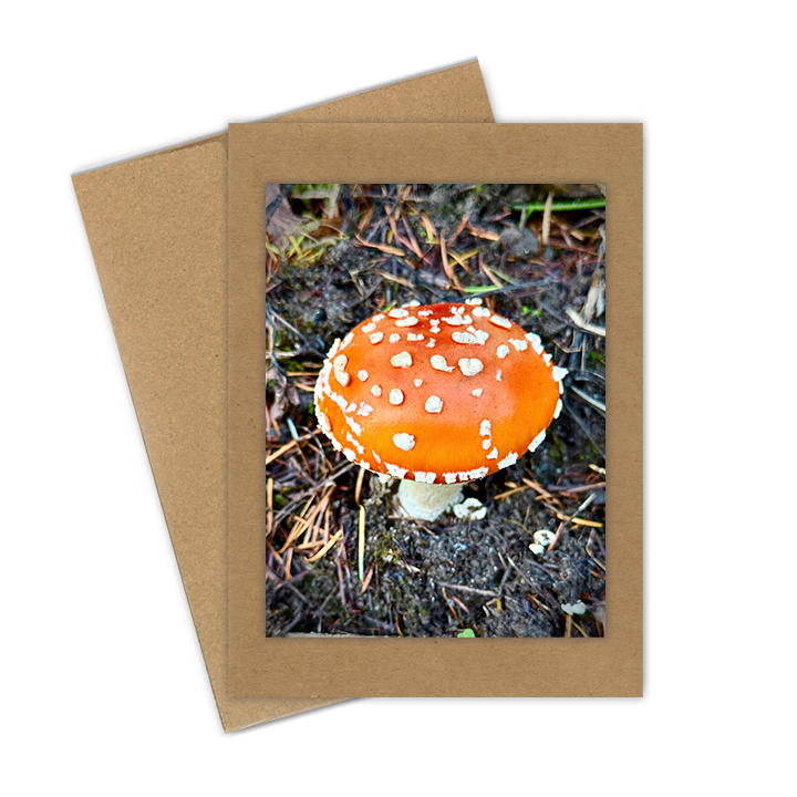 "Amanita"  Handmade 5x7 Greeting Card