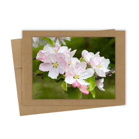 "Apple Blossoms" Handmade 5x7 Greeting Card