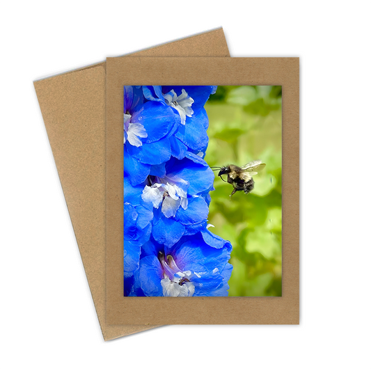 "Bee with Delphinium" Handmade 5x7 Greeting Card