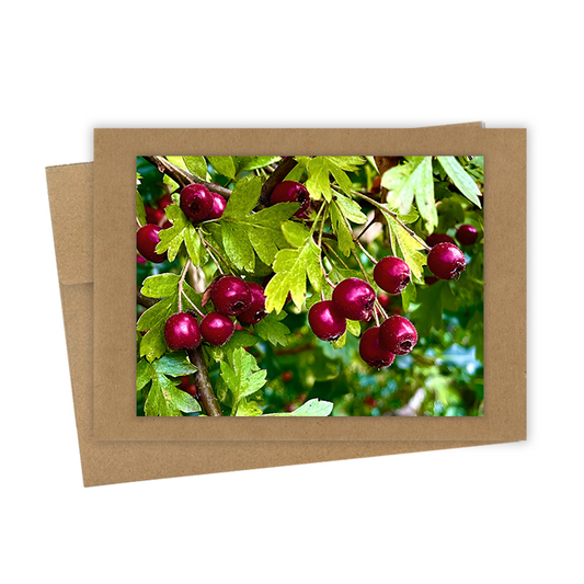 "Red Berries" Handmade 5x7 Greeting Card