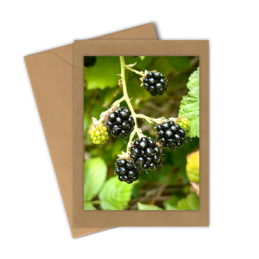 "Blackberry" Handmade 5x7 Greeting Card