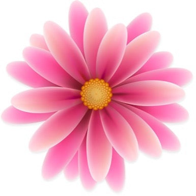 Blossom Photography by Cheryl Deviny