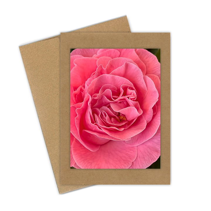 "Camellia, Medium Pink" Handmade 5x7 Greeting Card