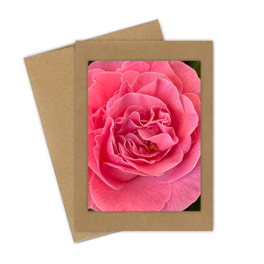 "Camellia, Medium Pink" Handmade 5x7 Greeting Card