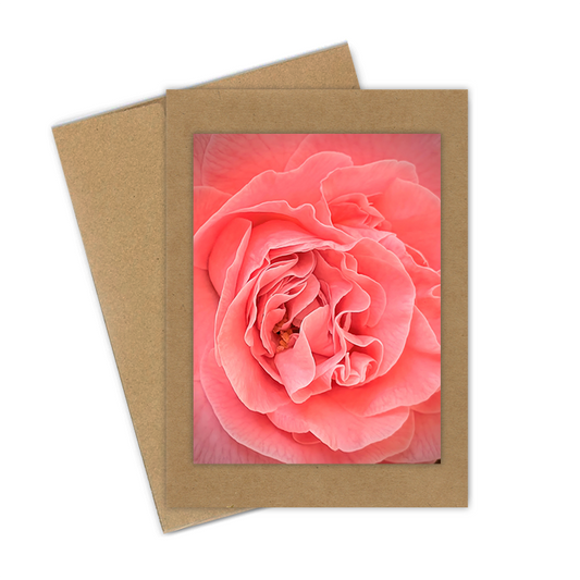 "Camellia, Pale Pink" Handmade 5x7 Greeting Card