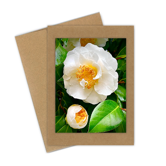 "Camellia with Bud" Handmade 5x7 Greeting Card