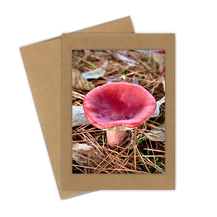 "Candy Mushroom"  Handmade 5x7 Greeting Card