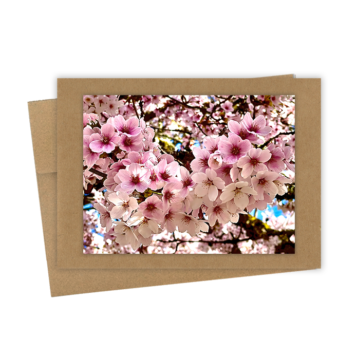 "Cherry Blossoms" Handmade 5x7 Greeting Card