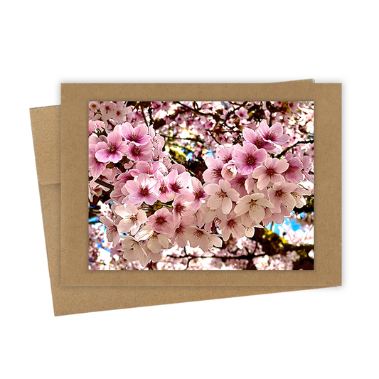 "Cherry Blossoms" Handmade 5x7 Greeting Card