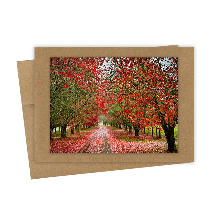 "Country Lane"  Handmade 5x7 Greeting Card