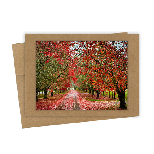 "Country Lane"  Handmade 5x7 Greeting Card