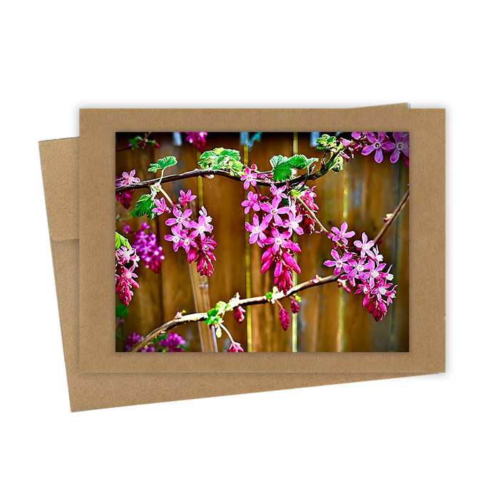 "Red Flowering Currant" Handmade 5x7 Greeting Card