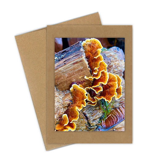 "Hairy Curtain Fungus" Handmade 5x7 Greeting Card