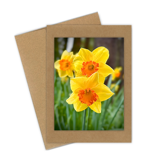 "Daffadils, Pair" Handmade 5x7 Greeting Card