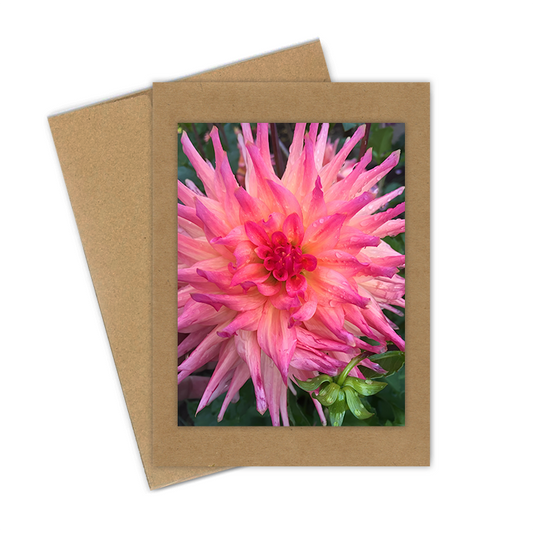 "Pink Dahlia"  Handmade 5x7 Greeting Card