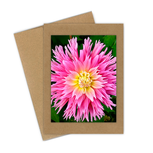 "Pink & Yellow Dahlia"  Handmade 5x7 Greeting Card
