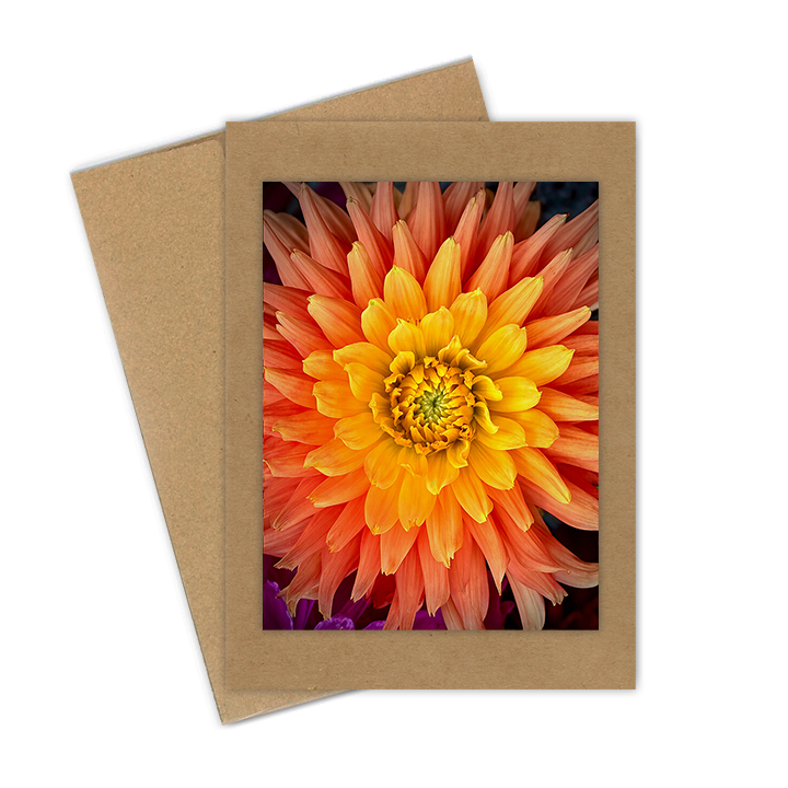 "Pumpkin & Gold Dahlia"  Handmade 5x7 Greeting Card
