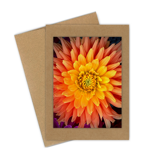 "Pumpkin & Gold Dahlia"  Handmade 5x7 Greeting Card