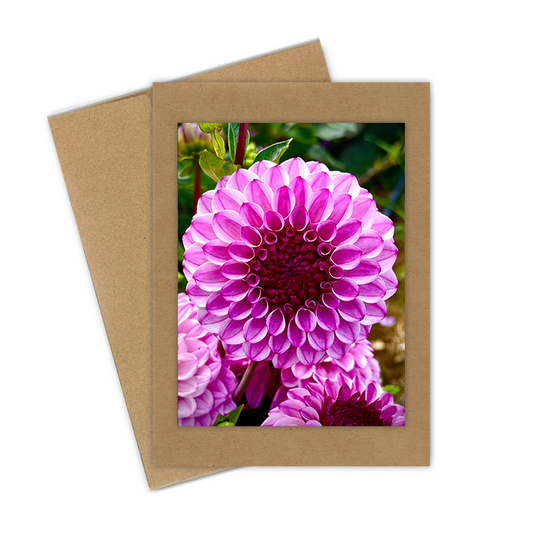 "Purple Fan Dahlia"  Handmade 5x7 Greeting Card