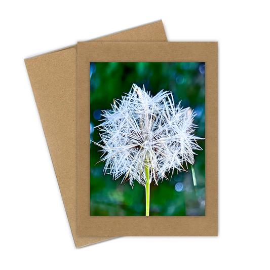"Dandelion Fluff"  Handmade 5x7 Greeting Card