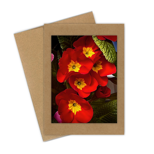 "Deep Red Primrose" Handmade 5x7 Greeting Card