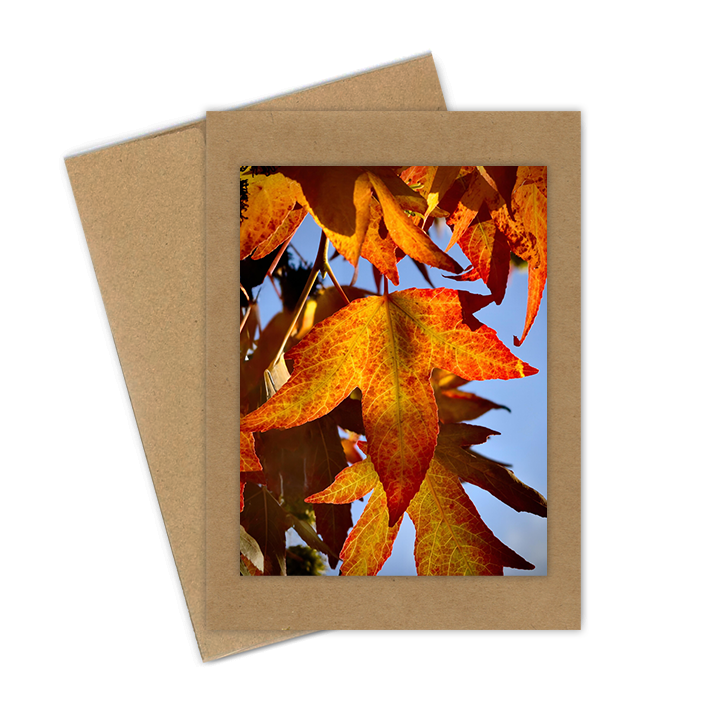 "Fall Gum Leaves"  Handmade 5x7 Greeting Card