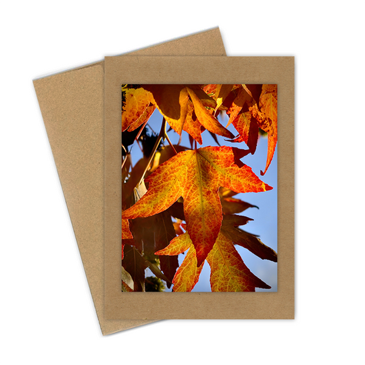 "Fall Gum Tree Leaves"  Handmade 5x7 Greeting Card