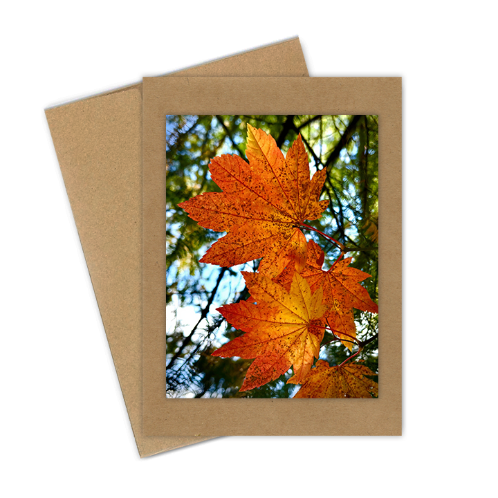 "Fall Maple Leaves"  Handmade 5x7 Greeting Card