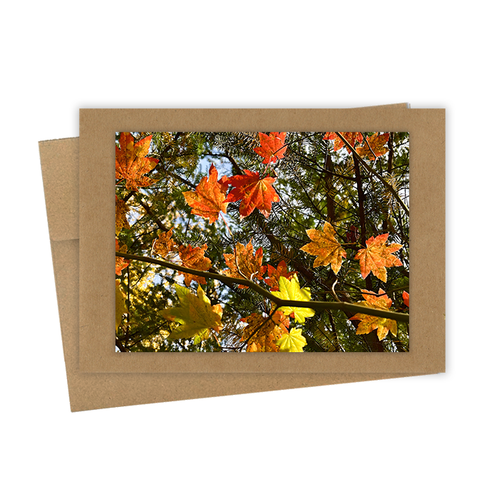 "Fall Branch" Handmade 5x7 Greeting Card