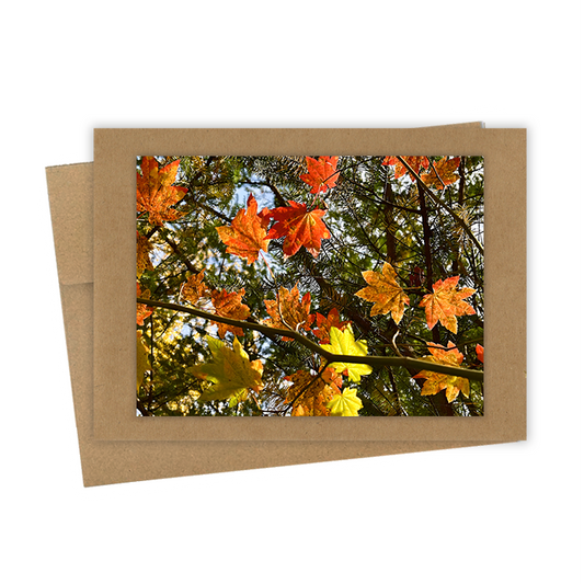 "Fall Branch" Handmade 5x7 Greeting Card