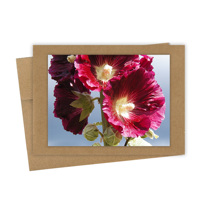"Favorite Hollyhock" Handmade 5x7 Greeting Card