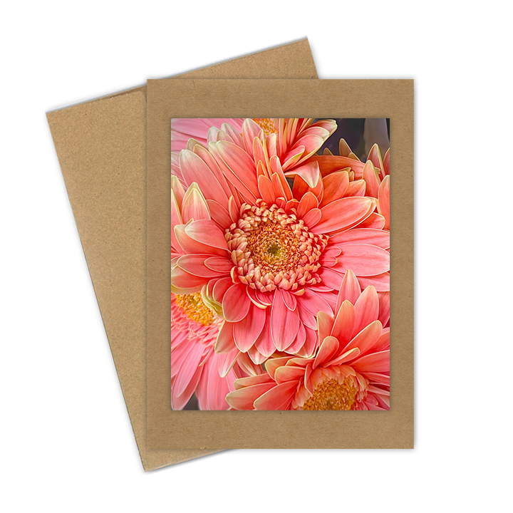 "Gerber Daisy"  Handmade 5x7 Greeting Card