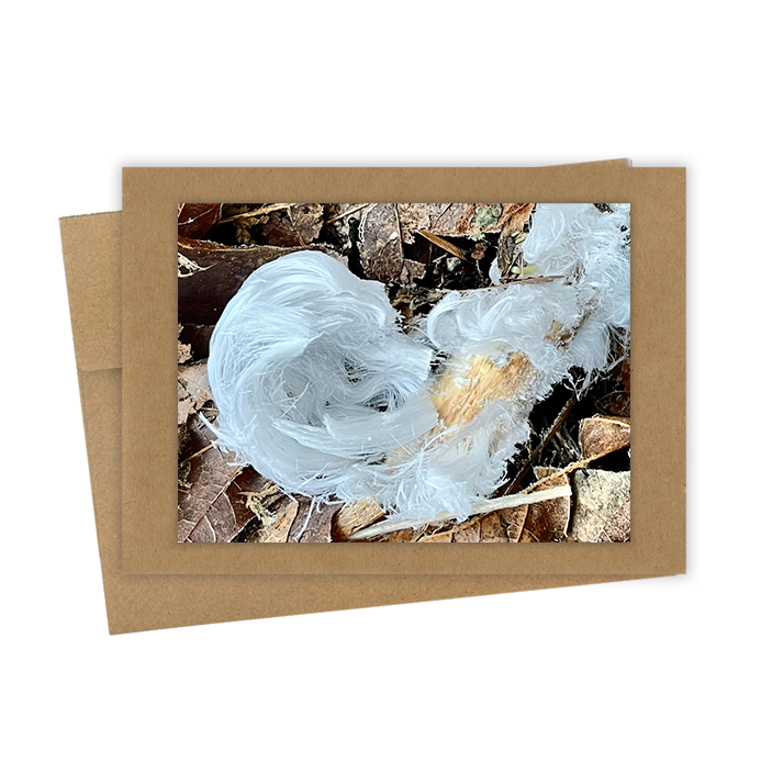 "Hair Ice" Handmade 5x7 Greeting Card