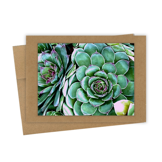 "Houseleek" Handmade 5x7 Greeting Card