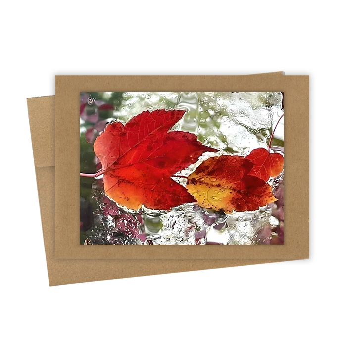 "Floating Leaves, Pair" Handmade 5x7 Greeting Card