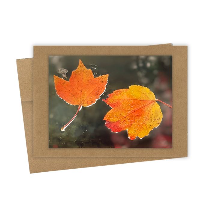 "Orange Leaves, Pair" Handmade 5x7 Greeting Card