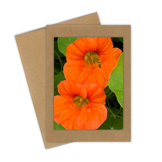 "Orange Nasturtium"  Handmade 5x7 Greeting Card