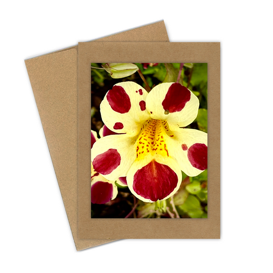"Monkey Flower, Tiger Yellow & Burgundy"  Handmade 5x7 Greeting Card