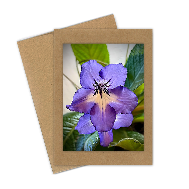 "Lavender Orchid" Handmade 5x7 Greeting Card