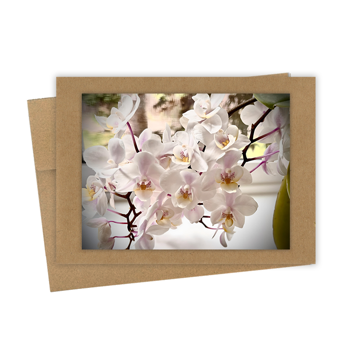 "Small White Orchids" Handmade 5x7 Greeting Card