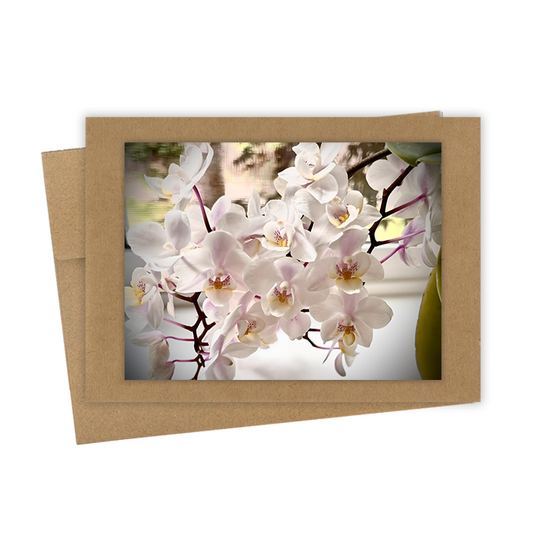 "Small White Orchids" Handmade 5x7 Greeting Card
