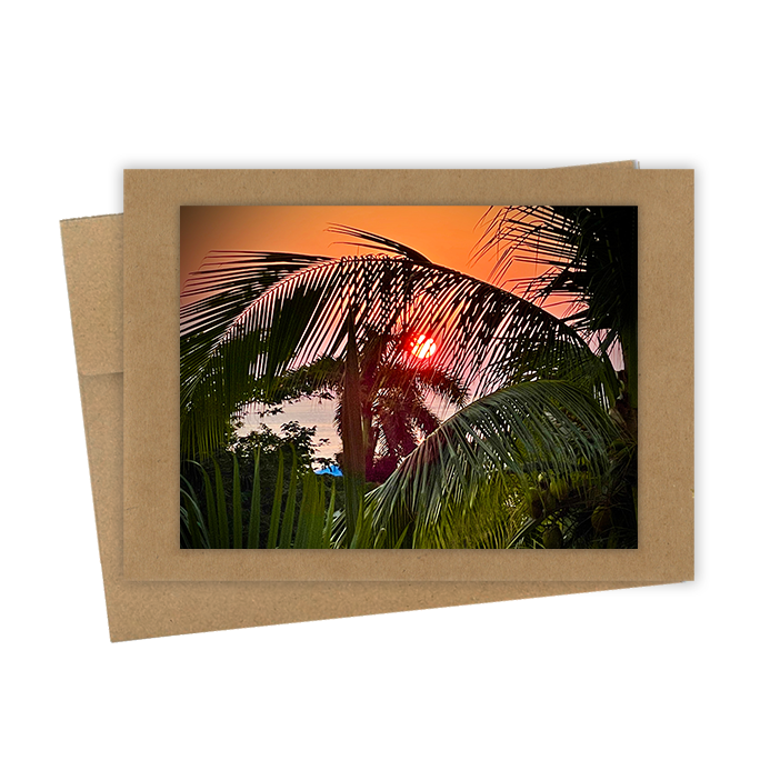 "Palm Frond Sunset"  Handmade 5x7 Greeting Card