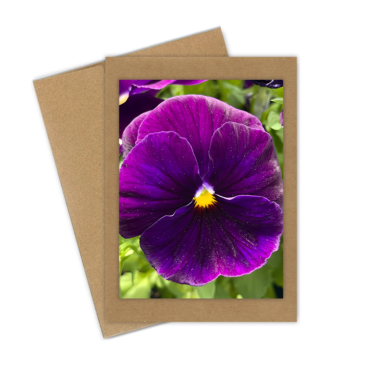 "Purple Pansy"  Handmade 5x7 Greeting Card