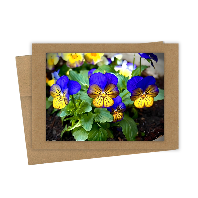 "Pansies, Blue & Yellow"  Handmade 5x7 Greeting Card