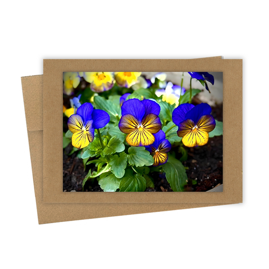 "Pansies, Blue & Yellow"  Handmade 5x7 Greeting Card
