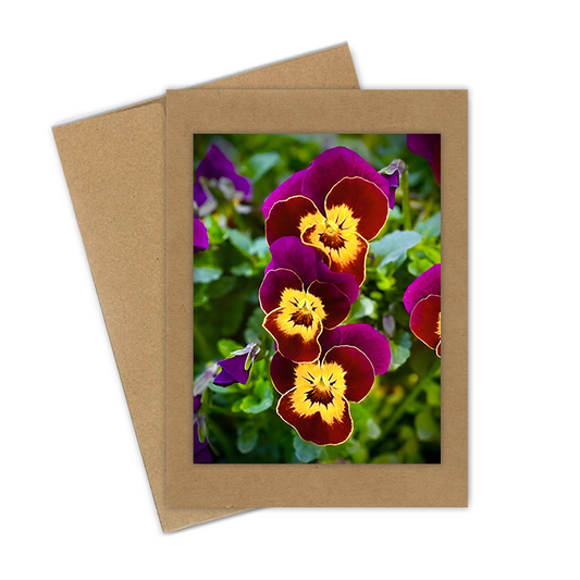 "Pansies, Purple & Yellow Trio"  Handmade 5x7 Greeting Card