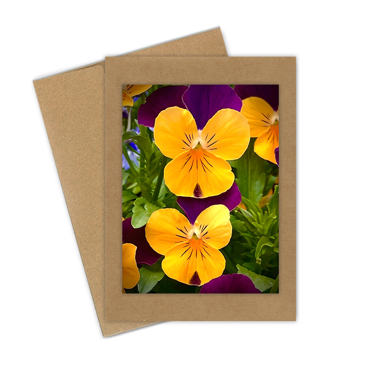 "Pansies, Yellow & Purple"  Handmade 5x7 Greeting Card